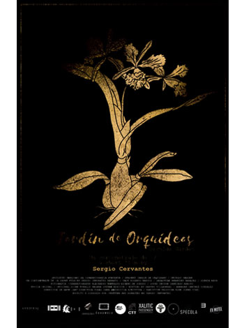 Orchids Garden