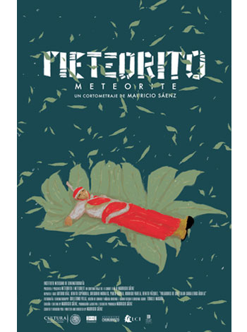 Meteorite